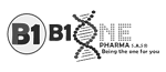 Logo b1 MCE - Agencia Digital